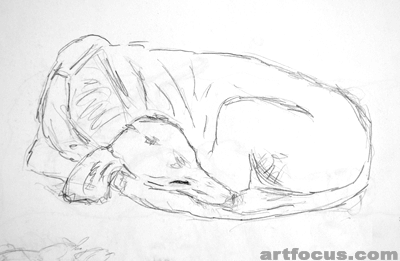 'Traumstunde' - Saluki schlafend auf der Couch - Bleistiftzeichnung auf Papier - 2008, Stuttgart